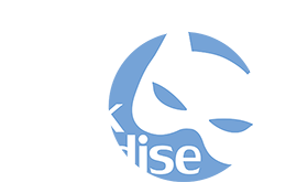 Mask Paradise Logo
